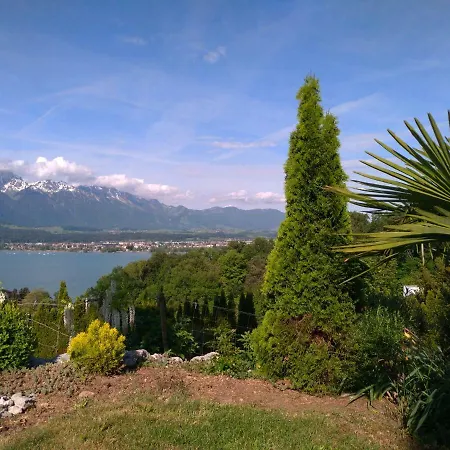 Amazing Bellevue *